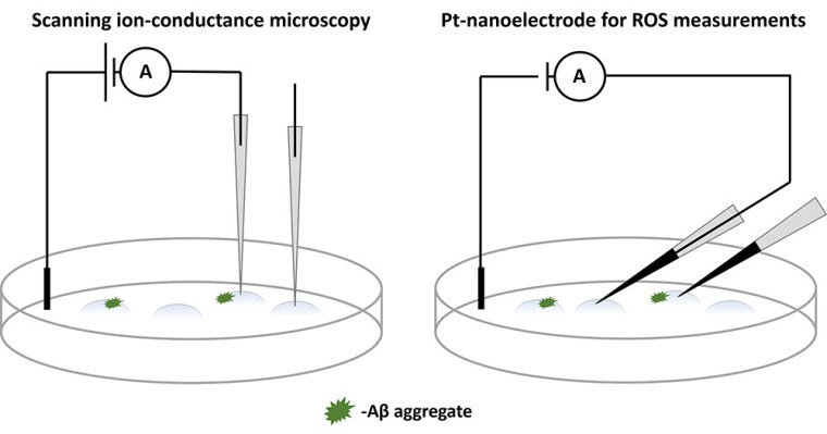 Particle Conductance Microscopy Get The Ideal&nbsp;Picture