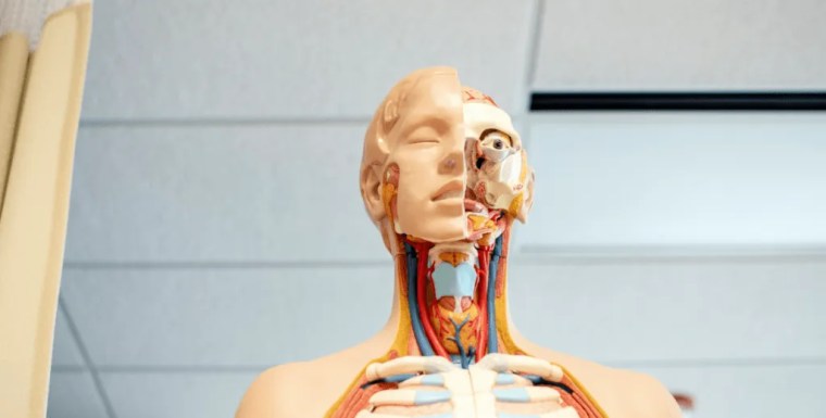 Top Life structures Portable Applications For Nursing&nbsp;Understudies